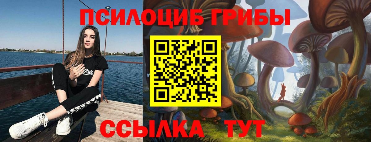 Псилоцибиновые грибы мицелий Калач-на-Дону