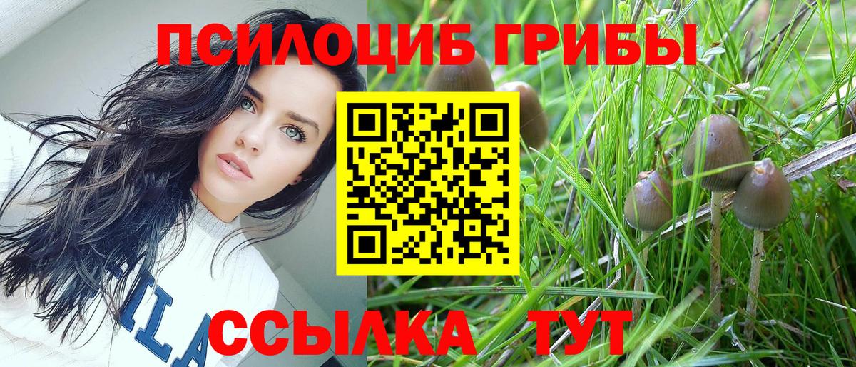 Калач-на-Дону  Псилоцибиновые грибы Psilocybe  Вход с VPN 